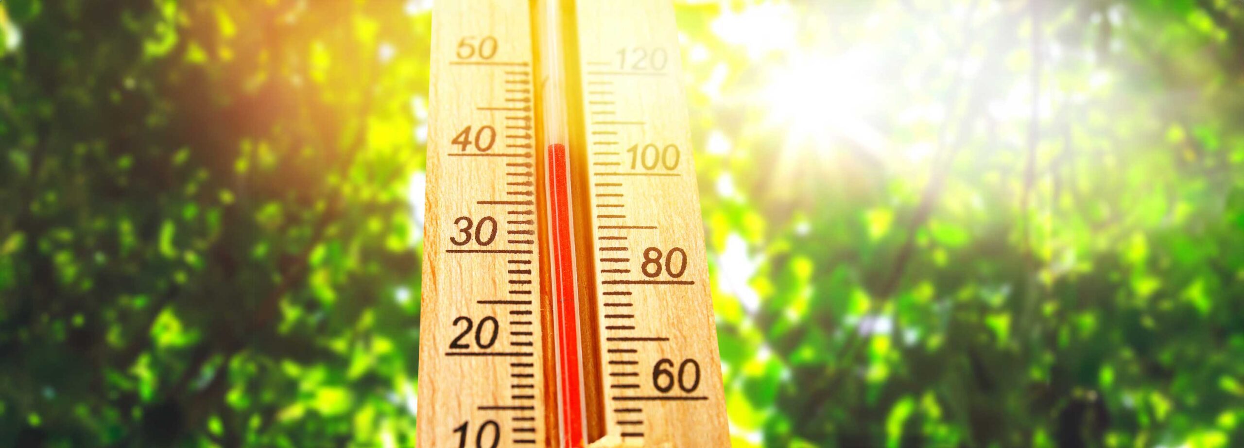 Thermometer displaying high 40 degree hot temperatures in sun summer day.